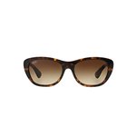 Sluneční brýle Ray Ban RB 4227 710/T5 - Polarizační