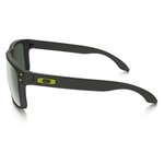 Sluneční brýle Oakley Holbrook OO9102-38